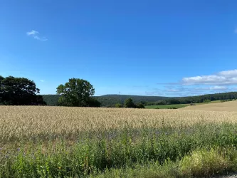 Battenberger Höhe