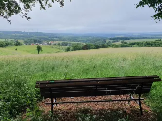 Ruhebank auf der Eckersweiler Höhe