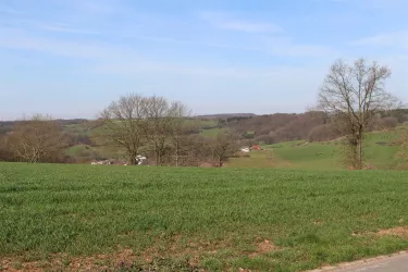 Blick auf Mittelbrunn (© VG Landstuhl)