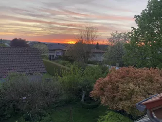 Blick in den Garten