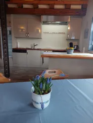 Eine moderne Küche mit Holzdetails und hellen Schränken. Auf dem Tisch steht ein Topf mit blauen Blüten.