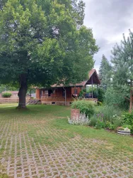 Ein gemütliches Holzhaus steht unter einem großen Baum. Der Garten ist grün und gepflegt, mit bunten Blumen und dekorativen Elementen.