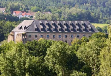 Blick auf Burg Altleiningen