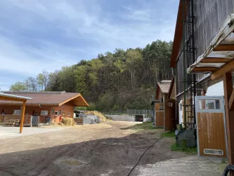 Kleinsägmühlerhof Altleiningen Ställe