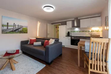 Wohn-Esszimmer mit Küchenzeile