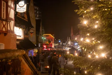 Dahn_Nacht der 1.000 Lichter