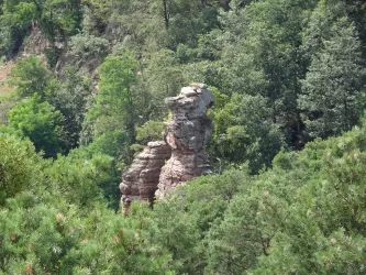 Blick auf Braut und Bräutigam (© Hans-Joachim Noll)
