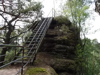 Zum Ausblick des Wachtfelsens (© Jacques Noll)
