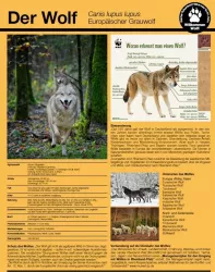 Wolfslehrpfad (© Kurt Groß)