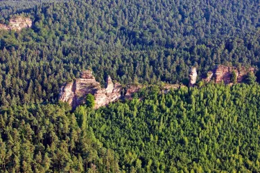 Lämmerfelsen bei Dahn_02 (© Kurt Groß)