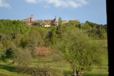 Ihr Ausblick zur Burg Altdahn