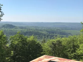 Aussicht Eybergturm (© Nicole Steigner)