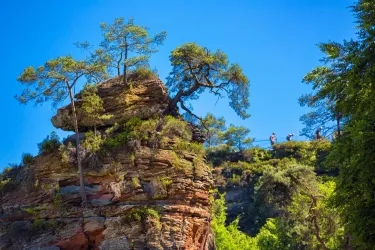 Schwalbenfelsen Dahn2