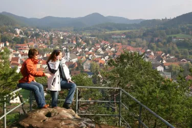 Blick vom Schwalbenfelsen auf Dahn (© Peter Zimmermann)