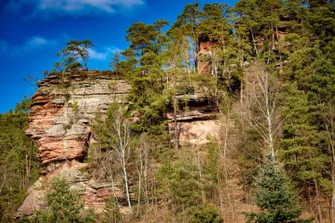 Schwalbenfelsen Dahn