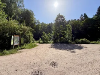 Ein sonniger Weg in einem Waldgebiet mit viel Grün. Im Vordergrund sind Schilder zu sehen, die den Weg anzeigen.