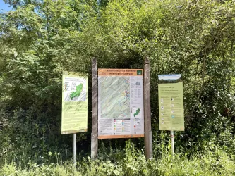 Eine Informationstafel mit einer Karte in der Natur. Umgeben von dichtem Grün und Bäumen.