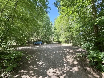 Ein ruhiger Parkplatz im Wald, umgeben von grünen Bäumen. Sanftes Licht fällt durch das Blätterdach auf den Kiesboden.