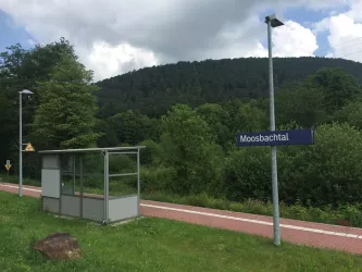 Moosbachtal Bahnhaltepunkt (© Adrian Stilgenbauer)