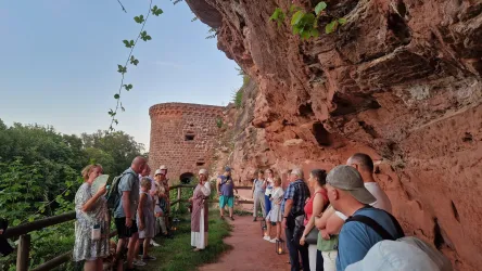 Führung Burg Alt-Dahn