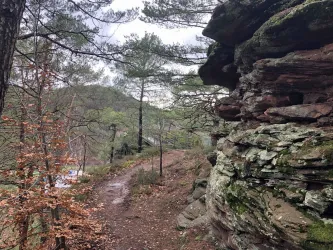 Galgenfelsen in Dahn (© Jacques Noll)