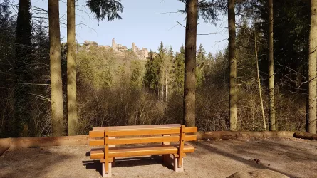 Aussichtspunkt Burg Alt-Dahn Blick (© Anette Lang)