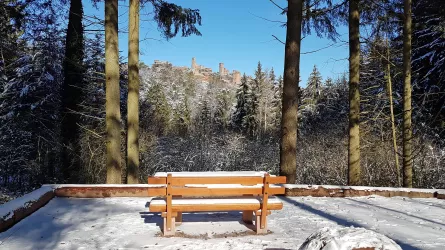 Barrierefrei Burg Alt-Dahn Blick im Winter (© Anette Lang)