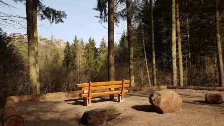 Aussichtspunkt Blick Burg Alt-Dahn