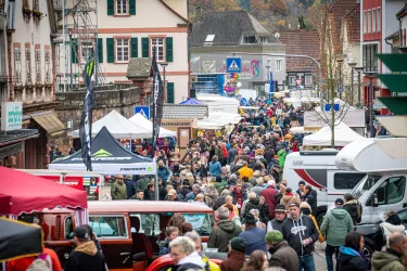 Martinimarkt in Dahn