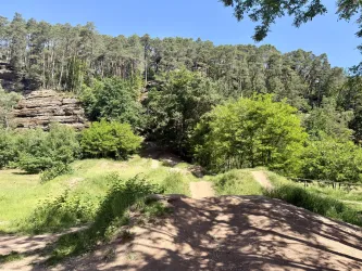Ein Mountainbiker springt über einen Damm im Wald. Die Umgebung ist natürlich und leicht hügelig.