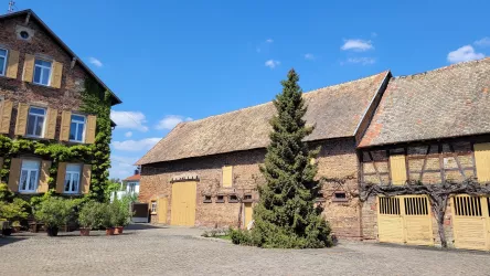 Fronmühle Haßloch