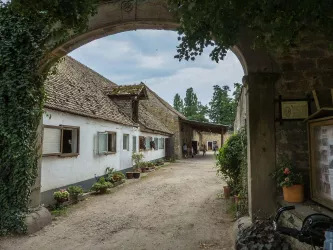 Pfalzmühle-02-Wikipedia