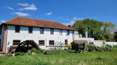 Aumühle Haßloch, Mühlenrad (© Touristinformation Haßlochz)