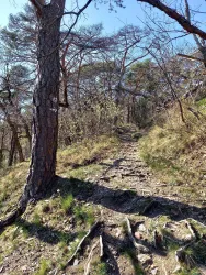 Weg zur Kanzel