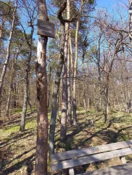 Aussichtspunkt Kanzel