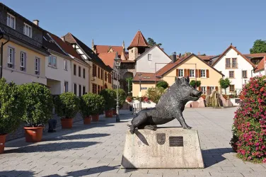 Ein bronzeartiges Wildschwein-Monument auf einem Platz. Umgeben von bunten Häusern und Topfpflanzen.