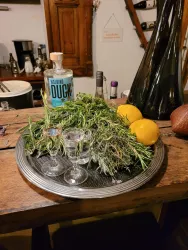 Ein silbernes Tablett mit frischen Kräutern, zwei Zitronen und zwei Gläsern. Im Hintergrund steht eine Flasche mit dem Label "Mellow Duck".