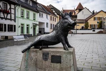 Marktplatz Kirchheimbolanden - Wutz
