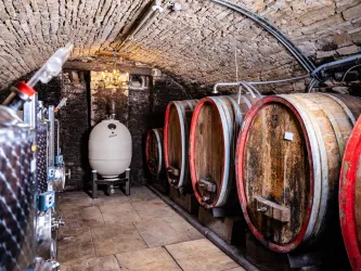 Weinkeller (© Donnersberg-Touristik-Verband e.V., Fachenbach Medienagentur)