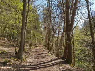 Pilgerweg im Dietersbachtal