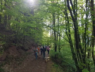Wandergruppe auf dem Pilgerweg