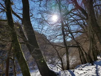 Pilgerweg im Dietersbachtal