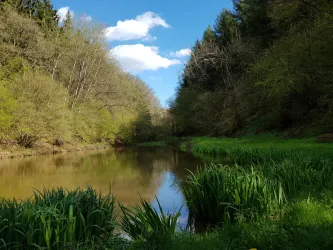Größter Teich im Dietersbachtal
