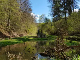 Kleinerer Teich am Dietersbach