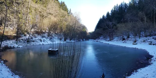 Zugefrorener Teich im Dietersbachtal