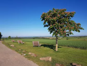 Ruhebänke beim Monolith