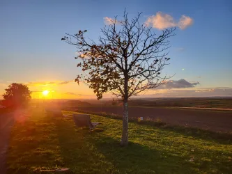Ruhebänke beim Monolith