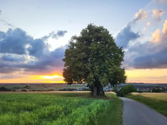 Blick Richtung Donsieders