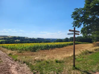 Wegegabelung beim Rastplatz Dietersberg