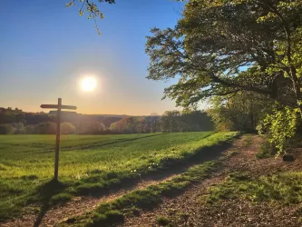 Ein sonniger Weg führt durch eine grüne Landschaft mit Bäumen. Im Hintergrund ist ein klarer Himmel zu sehen.